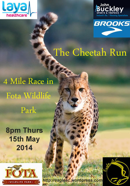 Cheetah_Run_2014_Flyer_1