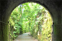 Waterford-Greenway-200pix