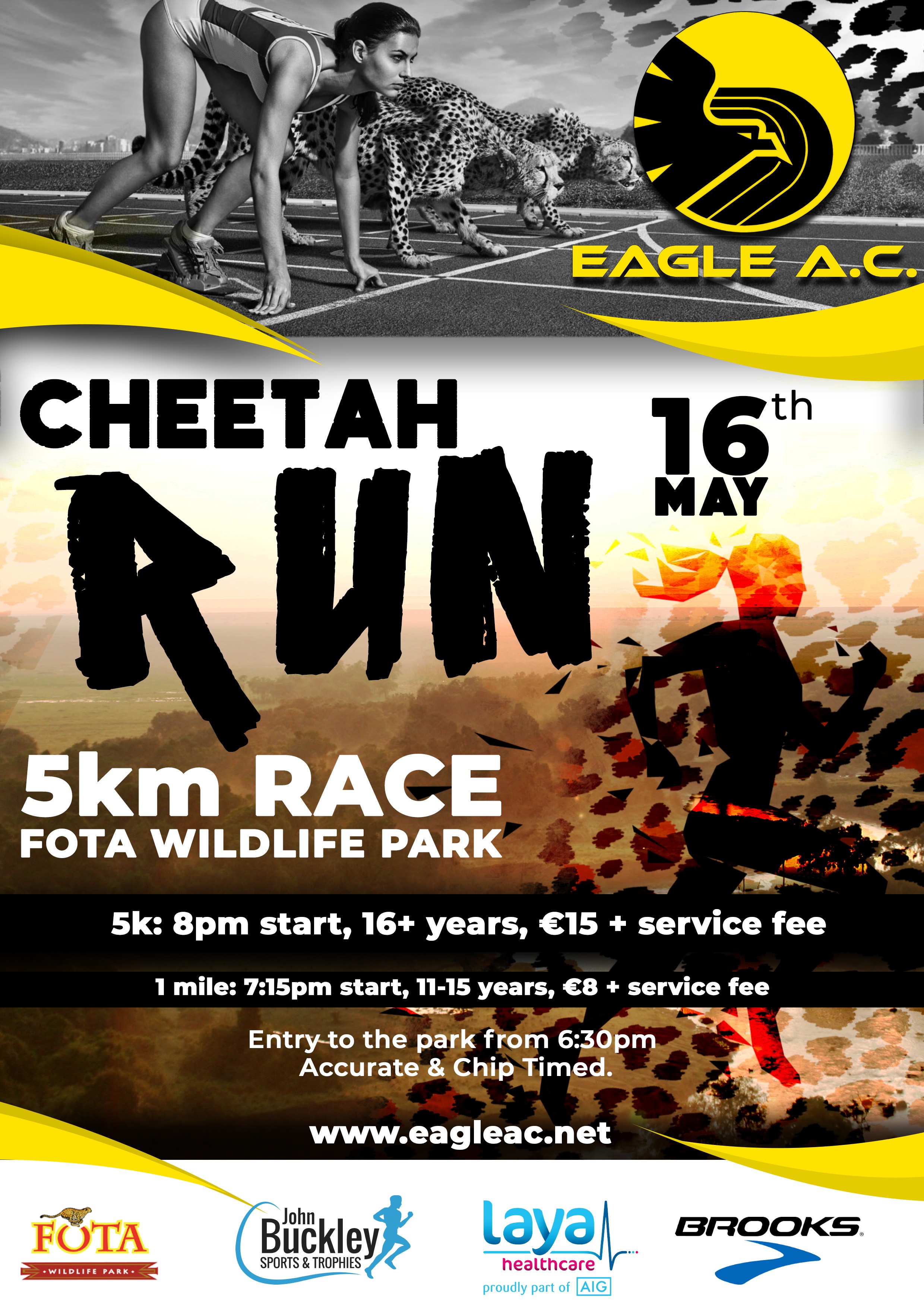 Cheetah Run 2019